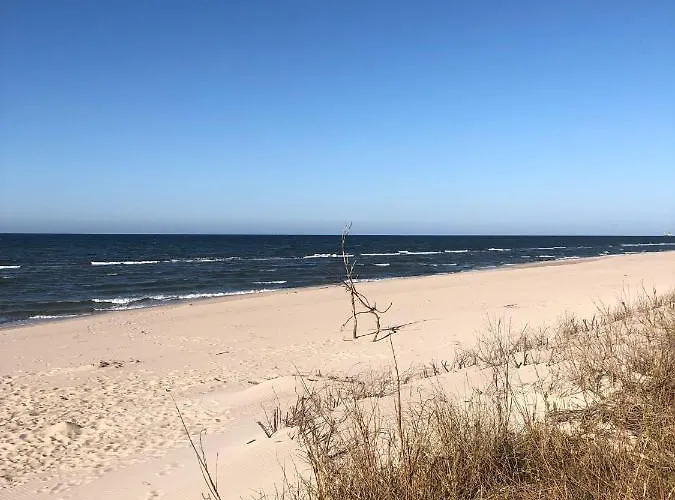 Krakowska 1 아파트